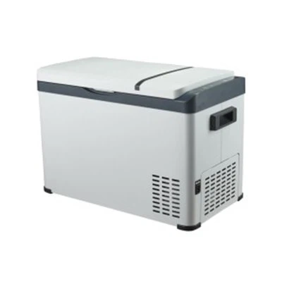 Портативний холодильник автомобіля охолоджувач і тепліший